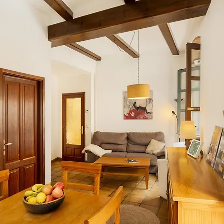 Apartamento Francesc Samsó Gerona Exterior foto